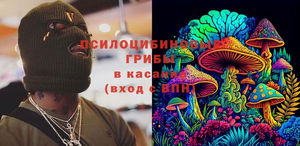 дурь Михайловск